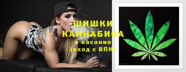 прущий лед Вязьма