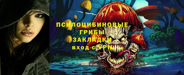 прущий лед Вязьма