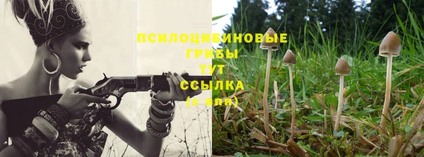 скорость Лиски