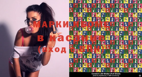 прущие грибы Вяземский