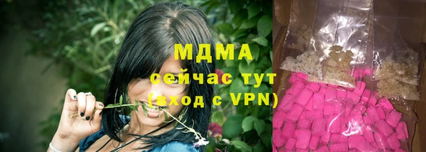 прущие грибы Вяземский