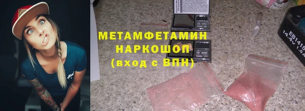 прущие грибы Вяземский