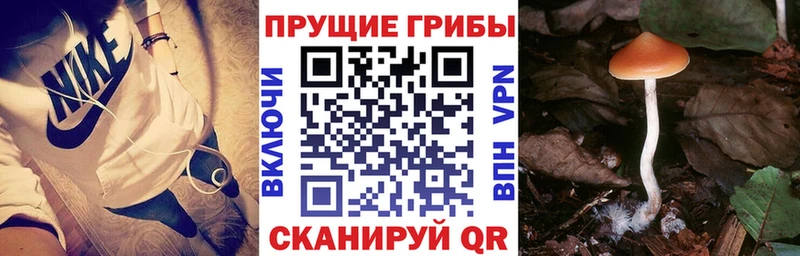 Галлюциногенные грибы ЛСД  Елабуга 