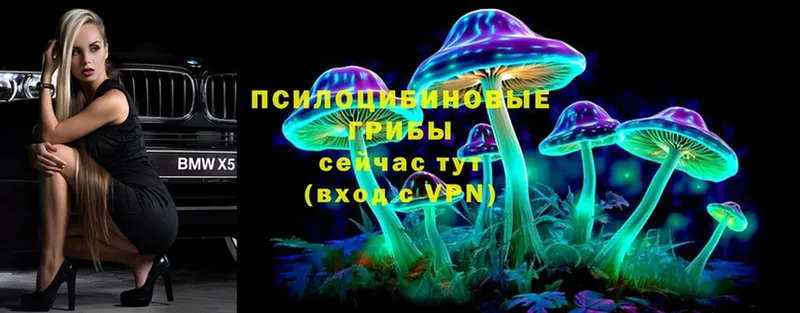 нарко площадка телеграм  Елабуга  Псилоцибиновые грибы Psilocybine cubensis 