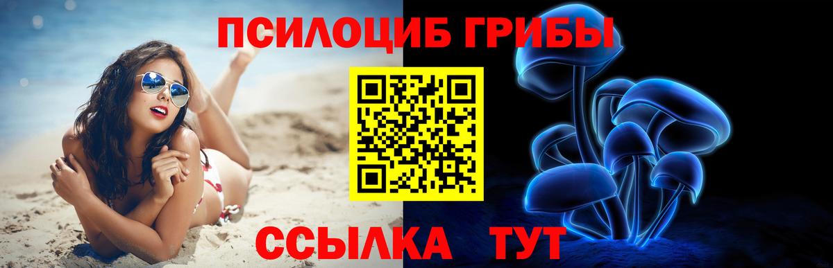 где купить наркотик  Псилоцибиновые грибы Magic Shrooms  Вход с VPN  Галлюциногенные грибы GOLDEN TEACHER  Елабуга 