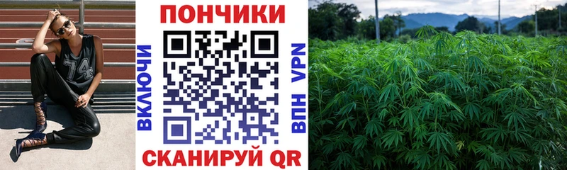 Шишки марихуана Amnesia Елабуга